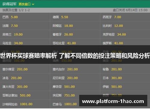 世界杯买球赛赔率解析 了解不同倍数的投注策略和风险分析