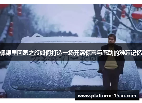 佩德里回家之旅如何打造一场充满惊喜与感动的难忘记忆