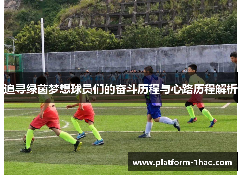 追寻绿茵梦想球员们的奋斗历程与心路历程解析