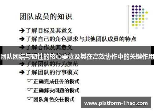 团队团结与韧性的核心要素及其在高效协作中的关键作用