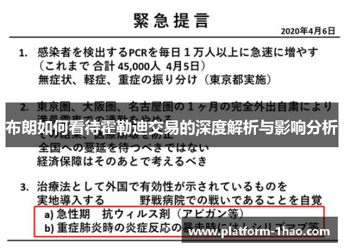 布朗如何看待霍勒迪交易的深度解析与影响分析