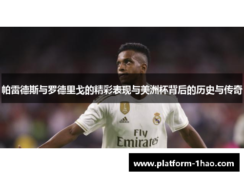 帕雷德斯与罗德里戈的精彩表现与美洲杯背后的历史与传奇