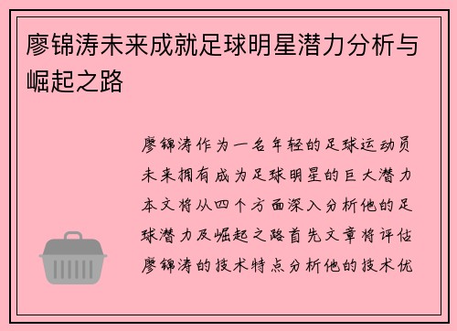 廖锦涛未来成就足球明星潜力分析与崛起之路