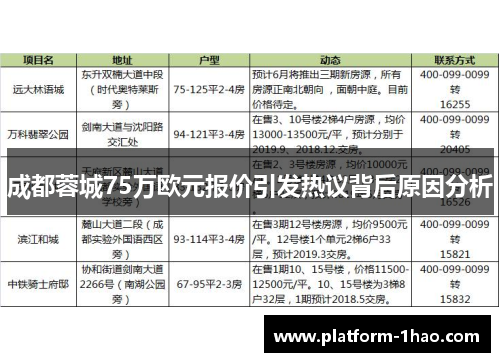 成都蓉城75万欧元报价引发热议背后原因分析