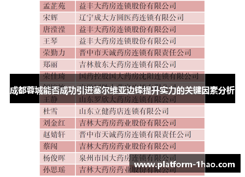 成都蓉城能否成功引进塞尔维亚边锋提升实力的关键因素分析 成都蓉城能否成功引进塞尔维亚边锋提升实力的关键因素分析