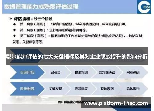 戴尔能力评估的七大关键指标及其对企业绩效提升的影响分析 戴尔能力评估的七大关键指标及其对企业绩效提升的影响分析