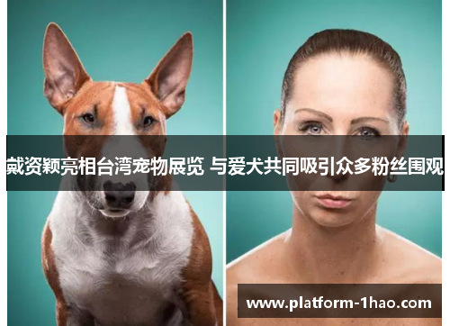 戴资颖亮相台湾宠物展览 与爱犬共同吸引众多粉丝围观 戴资颖亮相台湾宠物展览 与爱犬共同吸引众多粉丝围观