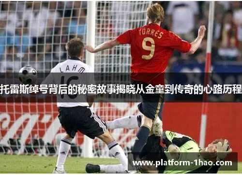 托雷斯绰号背后的秘密故事揭晓从金童到传奇的心路历程